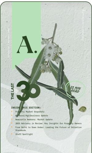 Thumbnail of The Last 30 - November 2025