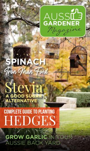 Thumbnail of May - Autumn Issue