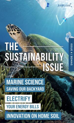 Thumbnail of The Sustainability Issue
