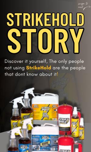 Thumbnail of StrikeHold Story