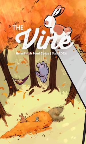 Thumbnail of The Vine | Fall 2024