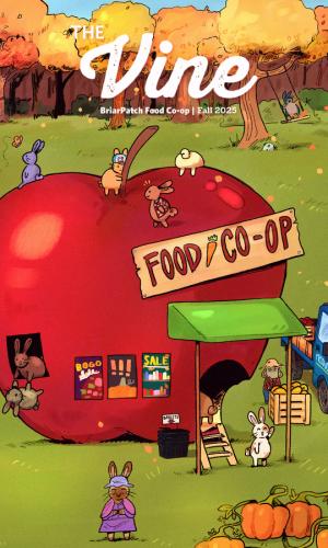 Thumbnail of The Vine | Fall 2025