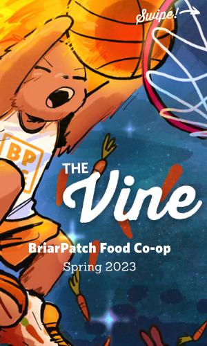 Thumbnail of The Vine | Spring 2023