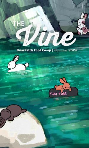 Thumbnail of The Vine | Summer 2024