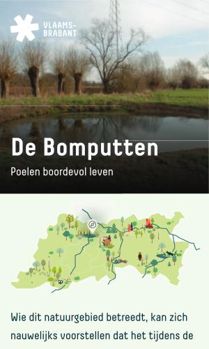 Thumbnail of De Bomputten