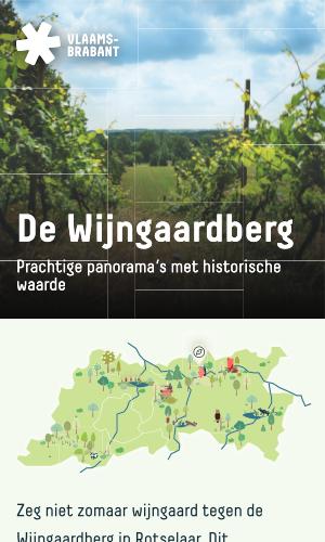 Thumbnail of De Wijngaardberg