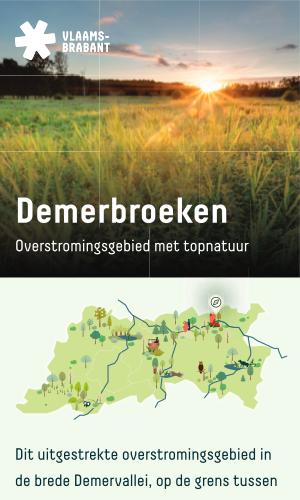 Thumbnail of Demerbroeken