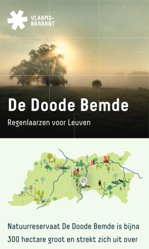 Thumbnail of De Doode Bemde