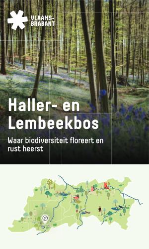 Thumbnail of Hallerbos- en Lembeekbos