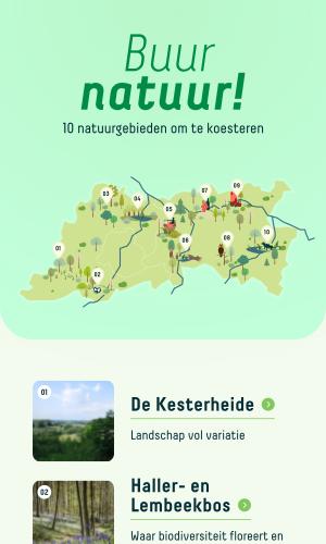 Thumbnail of Introductie