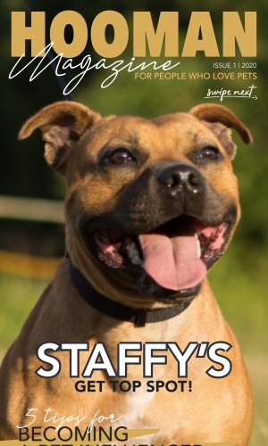 Thumbnail of Hooman Magazine For People Who Love Pets