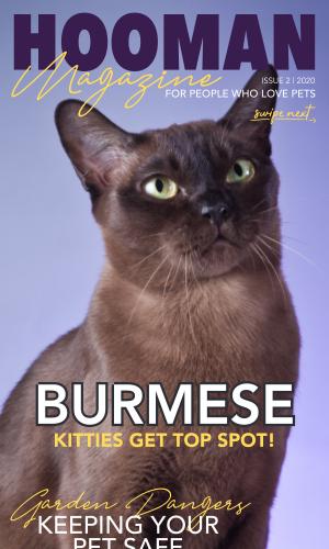 Thumbnail of Hooman Magazine Issue 2