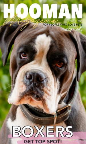 Thumbnail of Hooman Magazine Issue 5