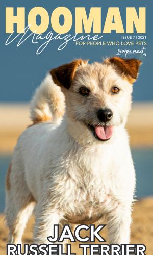 Thumbnail of Hooman Magazine Issue 7