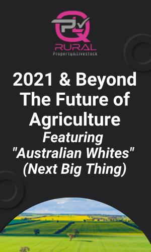 Thumbnail of 2021 & Beyond