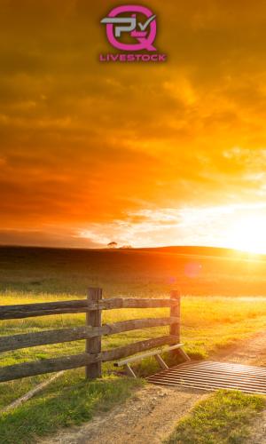 Thumbnail of Farm Gate 10/11/23