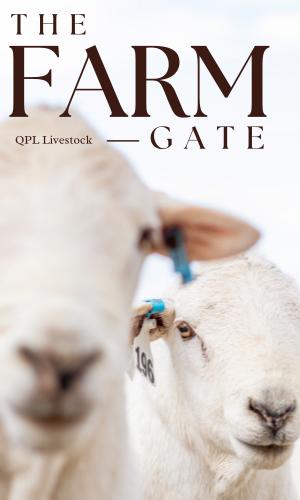 Thumbnail of Farm Gate 18/7/25