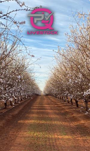 Thumbnail of Farm Gate 18/8/23