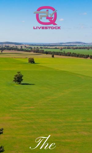 Thumbnail of Farm Gate 3/6/22