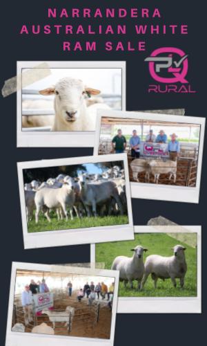 Thumbnail of Narr Ram Sale 16/2/21