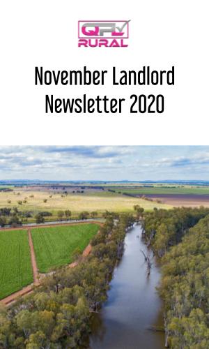 Thumbnail of November Landlord Newsletter