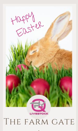 Thumbnail of The Farm Gate 1/4/21