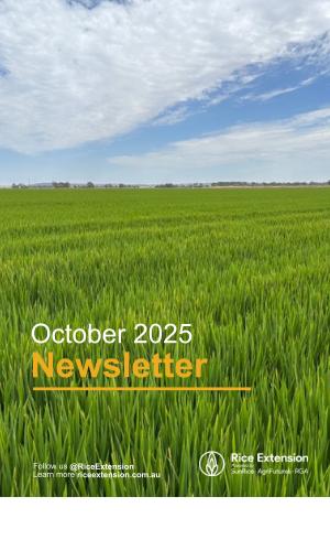 Thumbnail of October Newsletter