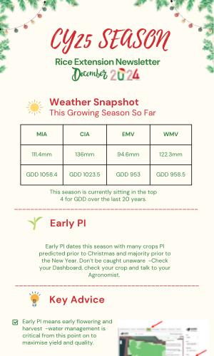 Thumbnail of December Newsletter