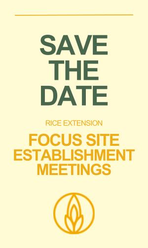 Thumbnail of Establishment meetings Save the Date
