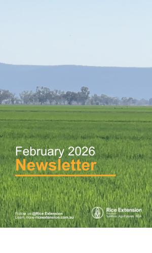 Thumbnail of February Newsletter 2026