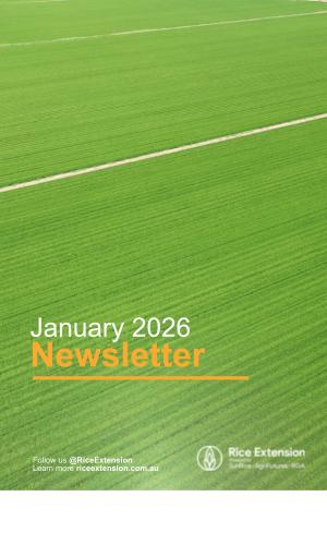 Thumbnail of January Newsletter 2026