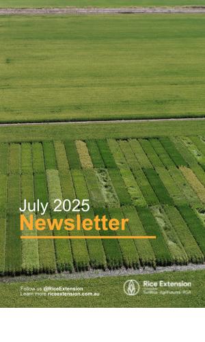 Thumbnail of July 2025 Newsletter