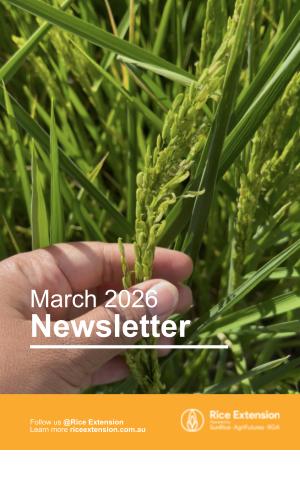 Thumbnail of March 2026