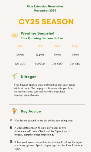 Thumbnail of November Newsletter 