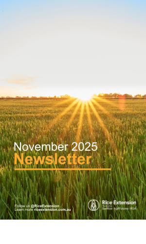 Thumbnail of November Newsletter