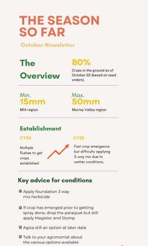 Thumbnail of October Newsletter