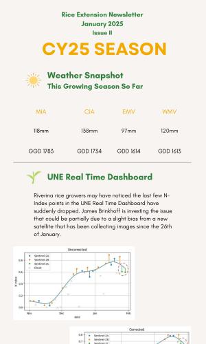 Thumbnail of RET Newsletter Jan 2025 Issue II