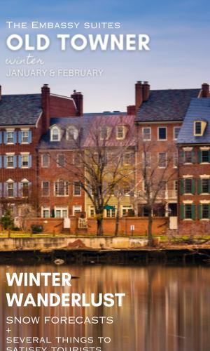 Thumbnail of 2024 | WINTER